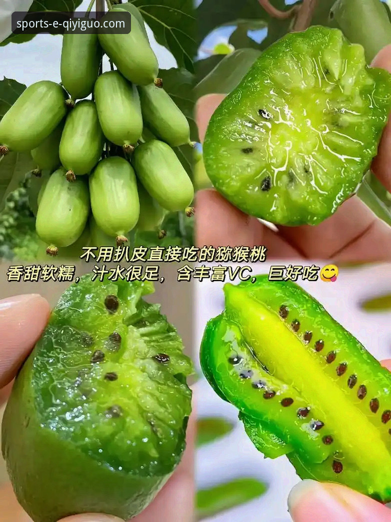 奇异果体育APP功能vs传统观赛方式：哪个更适合你？奇异果体育平台深度评测