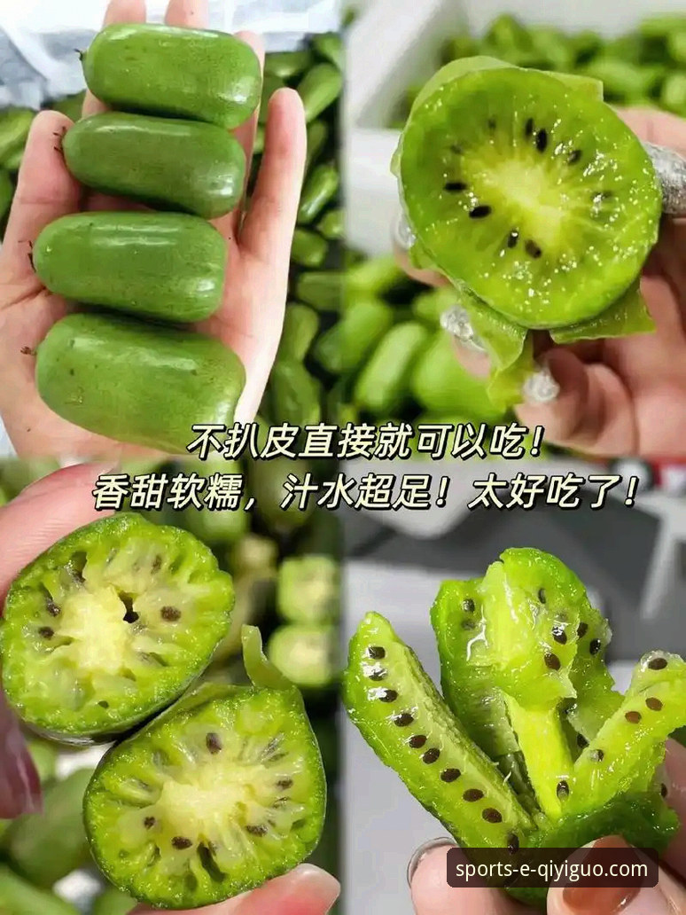 奇异果体育平台全方位实用评测与操作指南